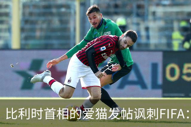 比利时首相的爱猫发帖讽刺FIFA：“红牌？”我照样继续踢！