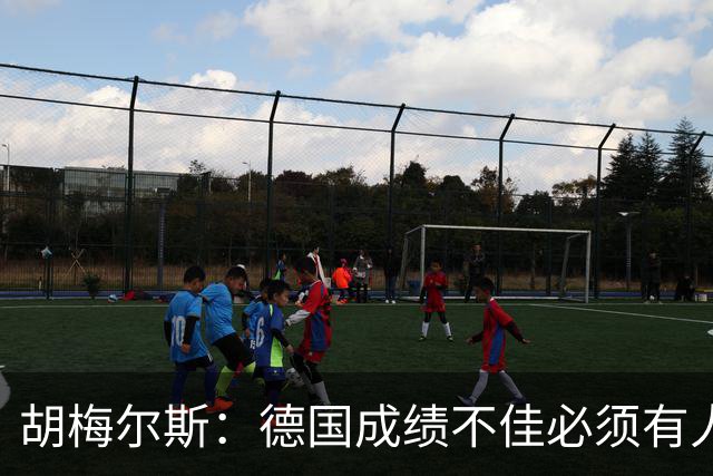 胡梅尔斯：德国成绩不佳必须有人负责，一些球员也应主动退出球队