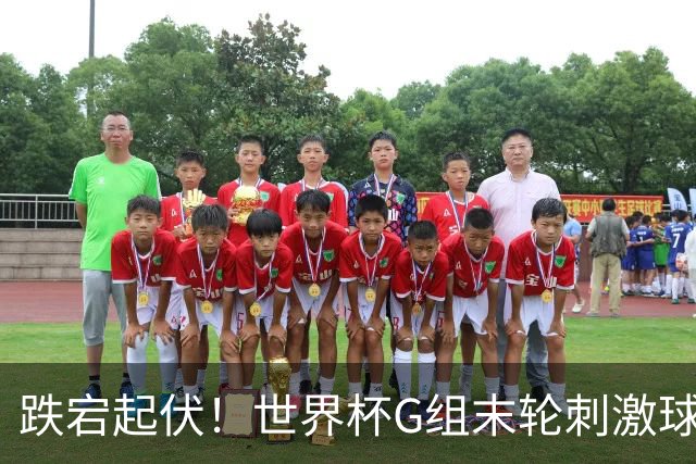 跌宕起伏！世界杯G组末轮刺激球迷心脏 伊朗狂喜过后遭打击